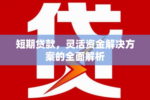 嘉祥短期贷款，灵活资金解决方案的全面解析