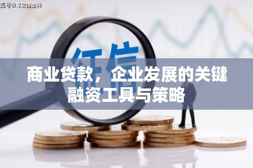 嘉祥商业贷款，企业发展的关键融资工具与策略