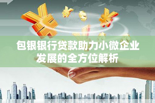 嘉祥包银银行贷款助力小微企业发展的全方位解析