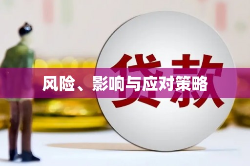 嘉祥风险、影响与应对策略