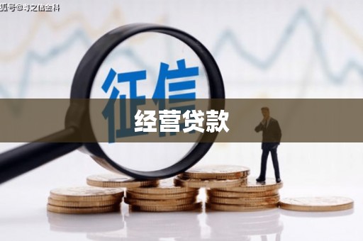 嘉祥经营贷款