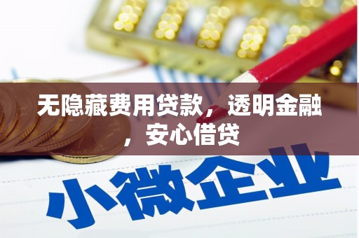 嘉祥无隐藏费用贷款，透明金融，安心借贷