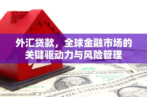 嘉祥外汇贷款，全球金融市场的关键驱动力与风险管理