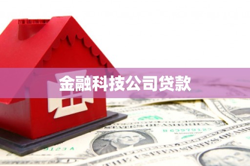 嘉祥金融科技公司贷款