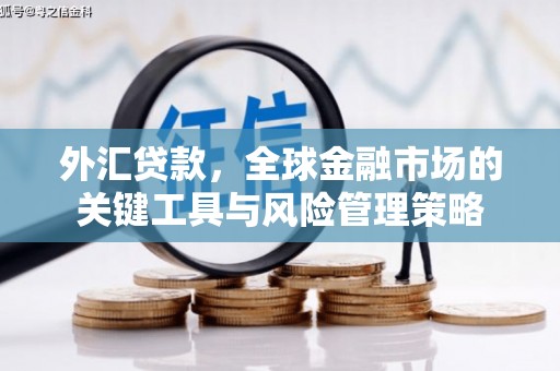 嘉祥外汇贷款，全球金融市场的关键工具与风险管理策略