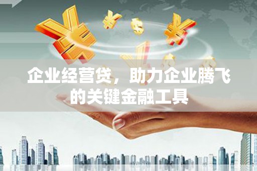 嘉祥企业经营贷，助力企业腾飞的关键金融工具