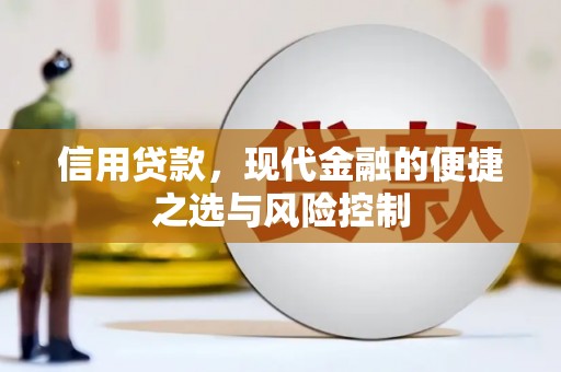 嘉祥信用贷款，现代金融的便捷之选与风险控制
