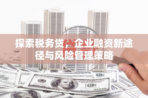 嘉祥探索税务贷，企业融资新途径与风险管理策略