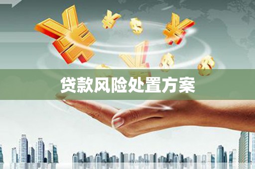 嘉祥贷款风险处置方案