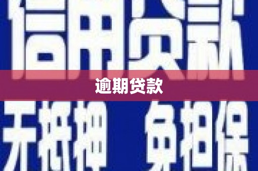 嘉祥逾期贷款