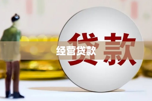 嘉祥经营贷款