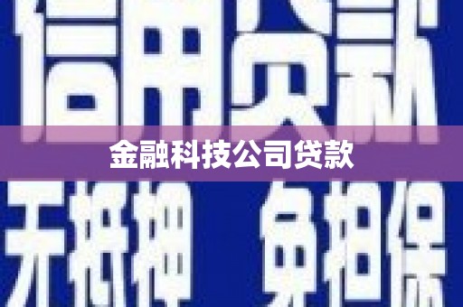 嘉祥金融科技公司贷款