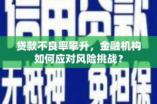 嘉祥贷款不良率攀升，金融机构如何应对风险挑战？