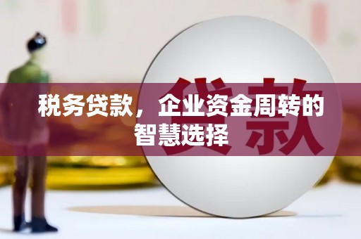 嘉祥税务贷款，企业资金周转的智慧选择