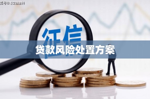 嘉祥贷款风险处置方案