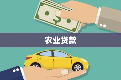 嘉祥农业贷款