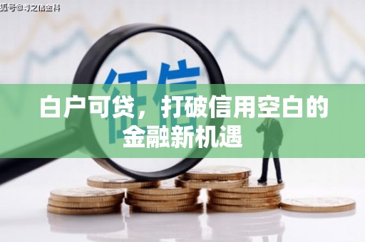 嘉祥白户可贷，打破信用空白的金融新机遇