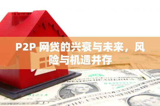 嘉祥P2P 网贷的兴衰与未来，风险与机遇并存