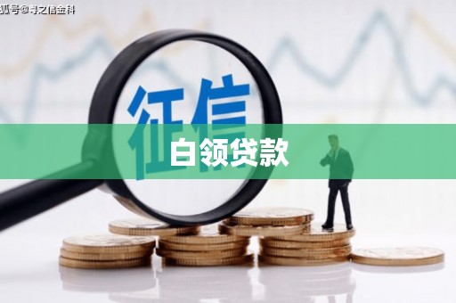 嘉祥白领贷款