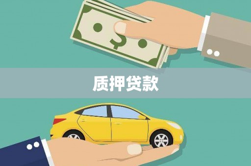 嘉祥质押贷款