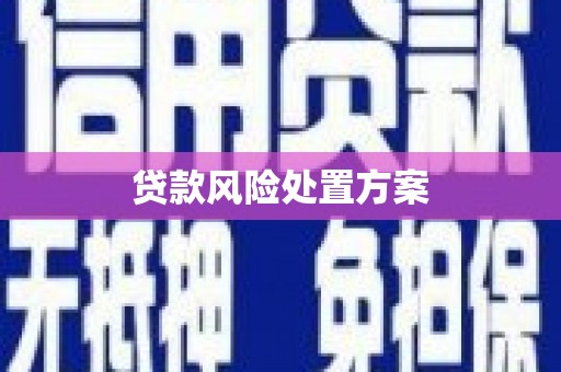 嘉祥贷款风险处置方案