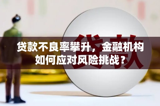 嘉祥贷款不良率攀升，金融机构如何应对风险挑战？