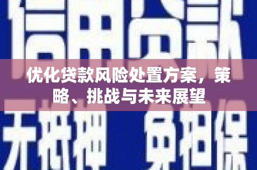 嘉祥优化贷款风险处置方案，策略、挑战与未来展望