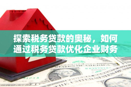 嘉祥探索税务贷款的奥秘，如何通过税务贷款优化企业财务