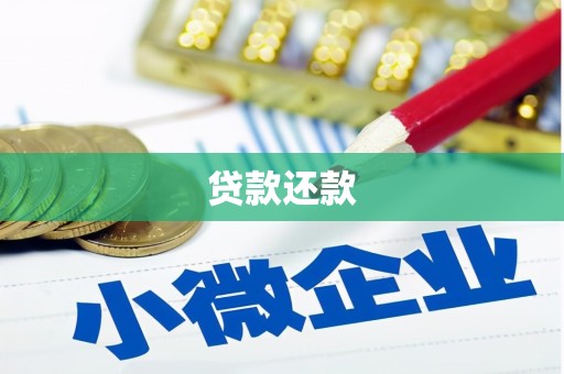 嘉祥贷款还款