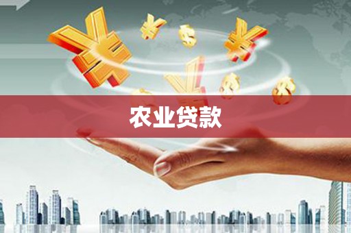 嘉祥农业贷款
