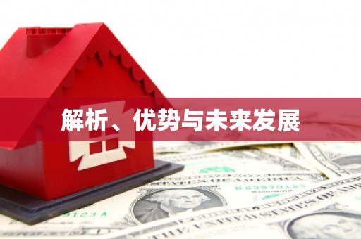 嘉祥解析、优势与未来发展