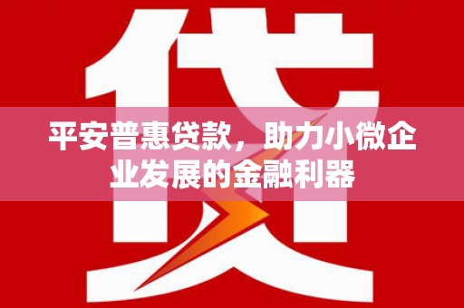 嘉祥平安普惠贷款，助力小微企业发展的金融利器