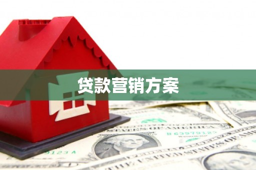 嘉祥贷款营销方案