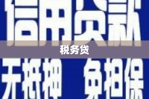 嘉祥税务贷