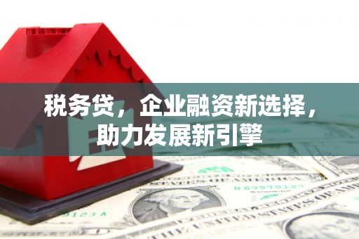 嘉祥税务贷，企业融资新选择，助力发展新引擎
