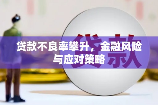 嘉祥贷款不良率攀升，金融风险与应对策略