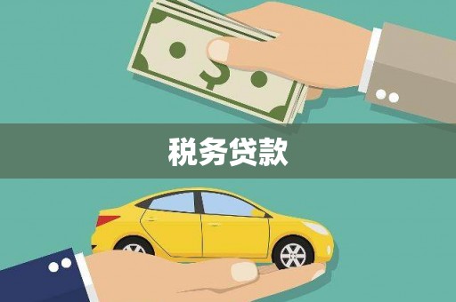 嘉祥税务贷款