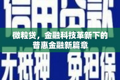嘉祥微粒贷，金融科技革新下的普惠金融新篇章