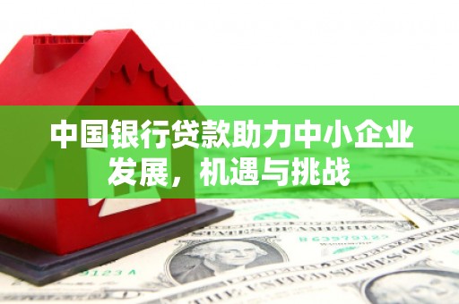 嘉祥中国银行贷款助力中小企业发展，机遇与挑战