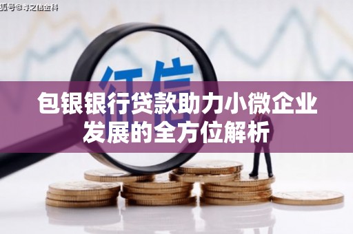 嘉祥包银银行贷款助力小微企业发展的全方位解析