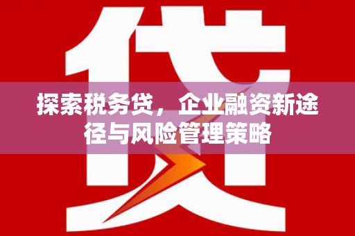 嘉祥探索税务贷，企业融资新途径与风险管理策略