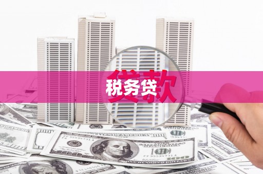 嘉祥税务贷