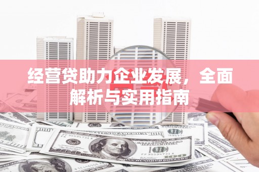 嘉祥经营贷助力企业发展，全面解析与实用指南