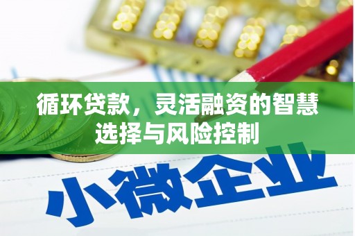 嘉祥循环贷款，灵活融资的智慧选择与风险控制