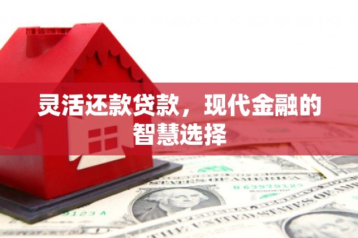 嘉祥灵活还款贷款，现代金融的智慧选择