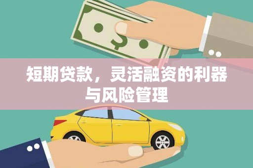 嘉祥短期贷款，灵活融资的利器与风险管理