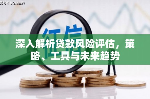 嘉祥深入解析贷款风险评估，策略、工具与未来趋势