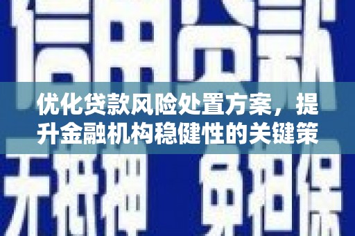 嘉祥优化贷款风险处置方案，提升金融机构稳健性的关键策略