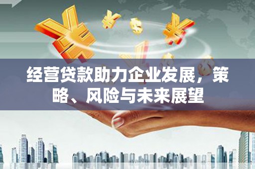 嘉祥经营贷款助力企业发展，策略、风险与未来展望