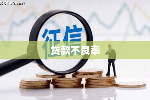 嘉祥贷款不良率